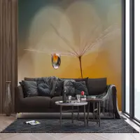 Vliesov� fototapeta na zed' Pampeli�kov� chm����ko | 375 x 270 cm | FTNXXL 3020