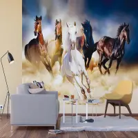 Vliesov� fototapeta na zed' Divoc� kon� | 375 x 270 cm | FTNXXL 1239