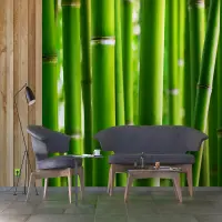 Vliesov� fototapeta na zed' Bambus | 360 x 254 cm | FTS 0170