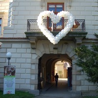 balonkov� srdce